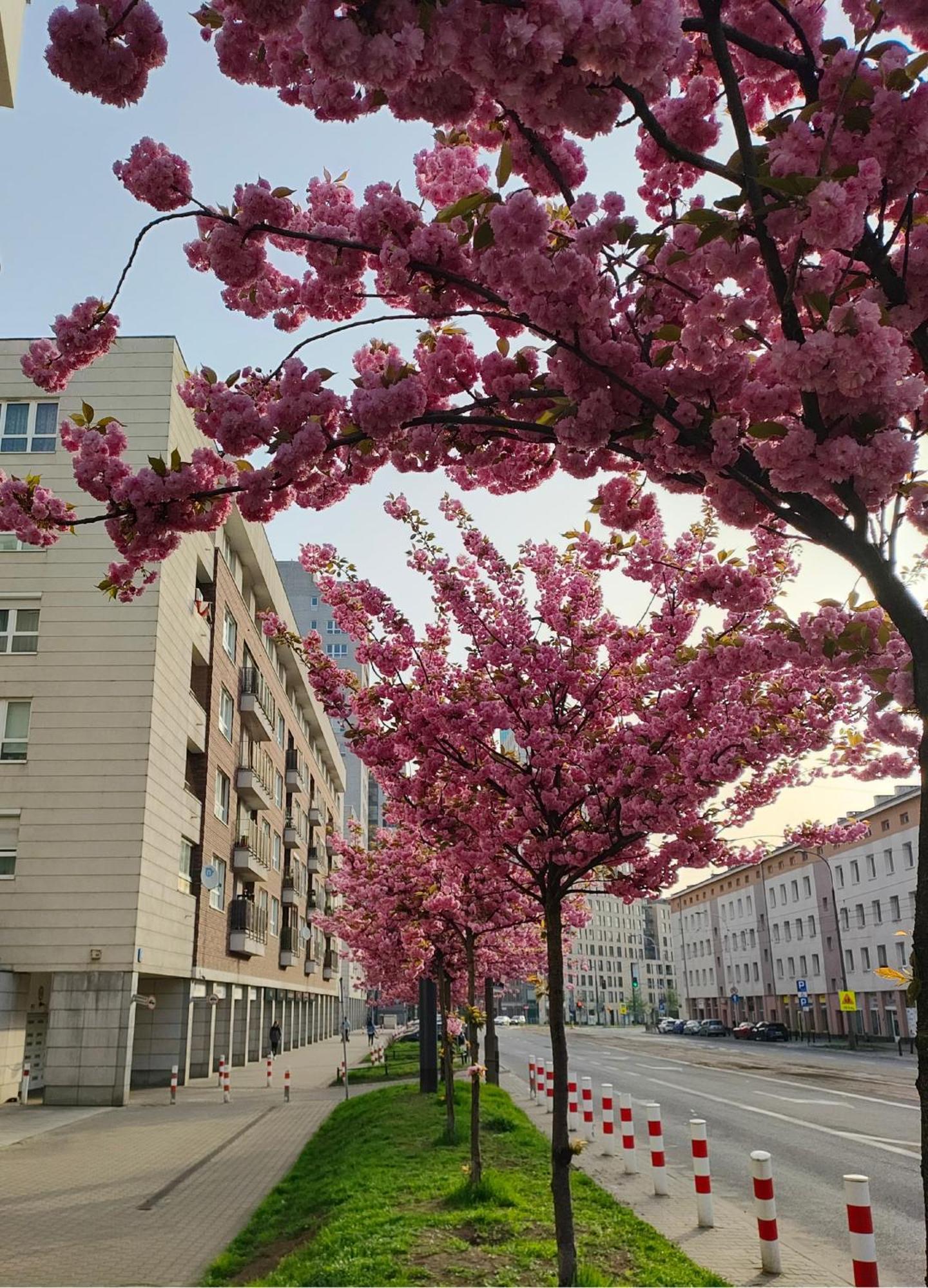 Totutotam Studio Warsaw Ngoại thất bức ảnh