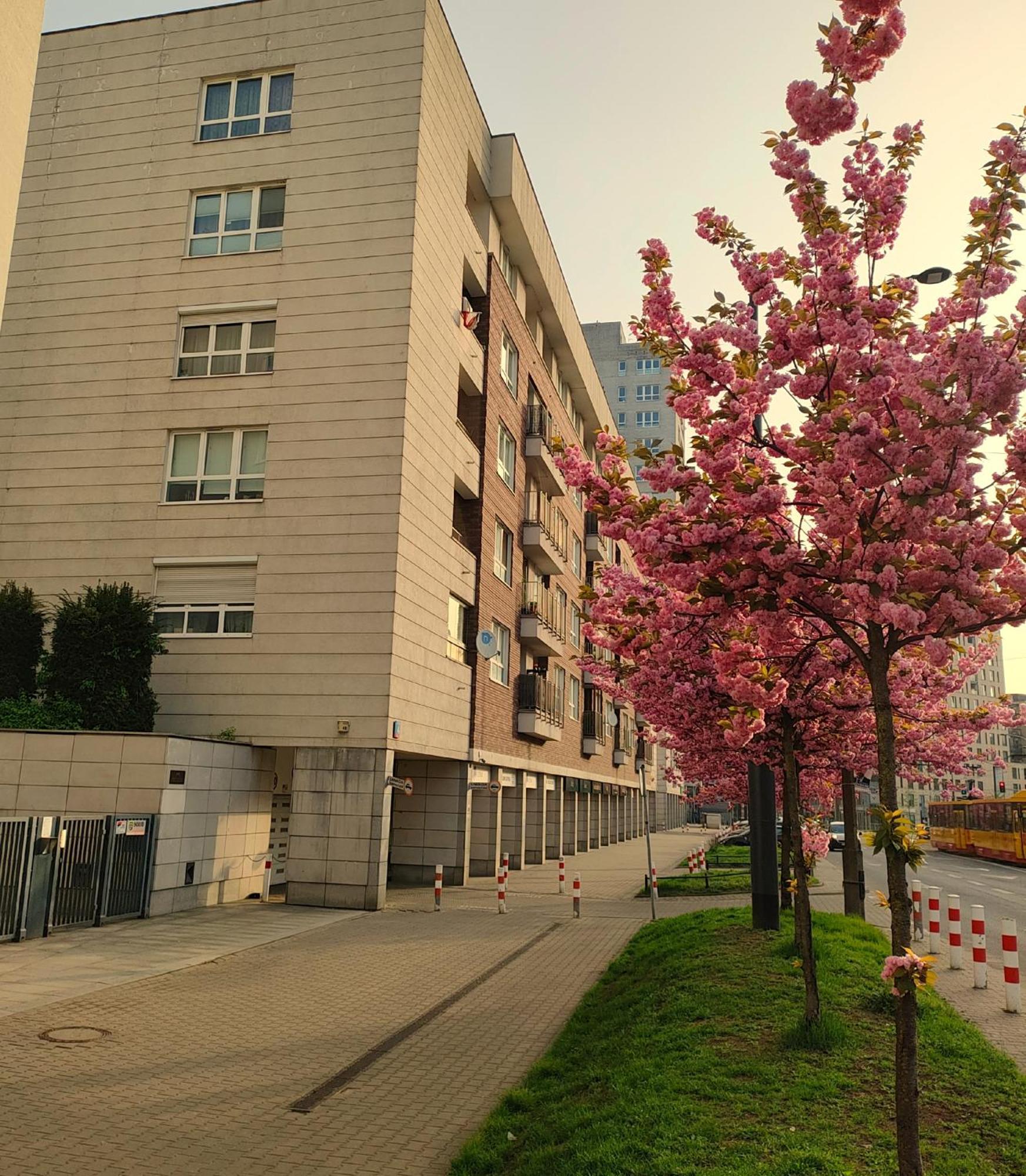 Totutotam Studio Warsaw Ngoại thất bức ảnh